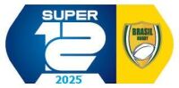 Imagem principal do artigo Em 2025 já estão definidos os integrantes da Copa do Brasil e do Super 12